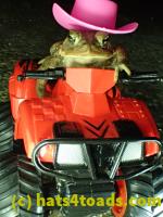 /home//u458753944/public_html/sourcegallery/////////////////////////Roxborough Toad Detour/2013-2019/2017/P3250664.JPG